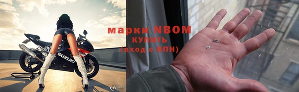 гашик Каменногорск