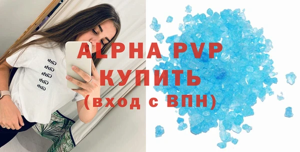 гашик Каменногорск