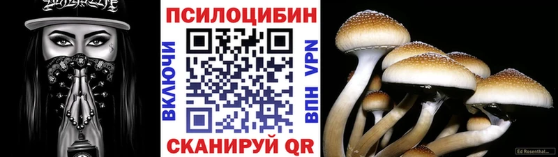 Псилоцибиновые грибы прущие грибы  Купить где  Асино 